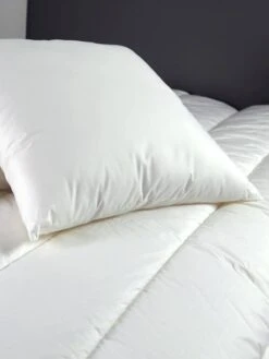 Chambre Douillette Soldes -Chambre Douillette Soldes oreiller moelleux coton 60x60 cm dodo 1