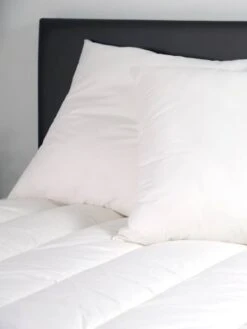 Chambre Douillette Soldes -Chambre Douillette Soldes oreiller moelleux coton bio 60x60 cm dodo 1