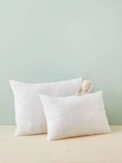 Chambre Douillette Soldes -Chambre Douillette Soldes oreillers confort ferme en coton bio bio collection 1