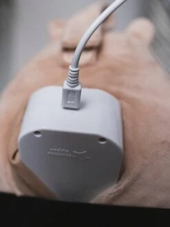 Peluche Aide Au Sommeil Rechargeable TOMMEE TIPPEE Bennie L’ourson Beige - Tommee Tippee -Chambre Douillette Soldes peluche aide au sommeil rechargeable tommee tippee bennie lourson 4